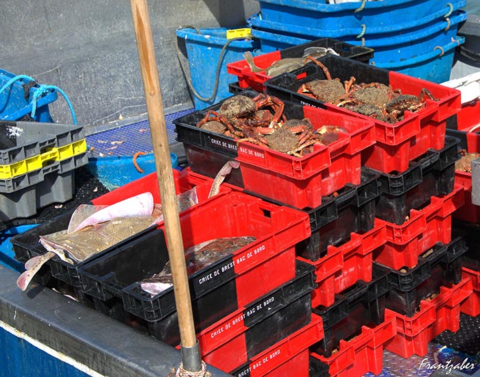 Marché estival du mardi matin dans le bourg de Landéda