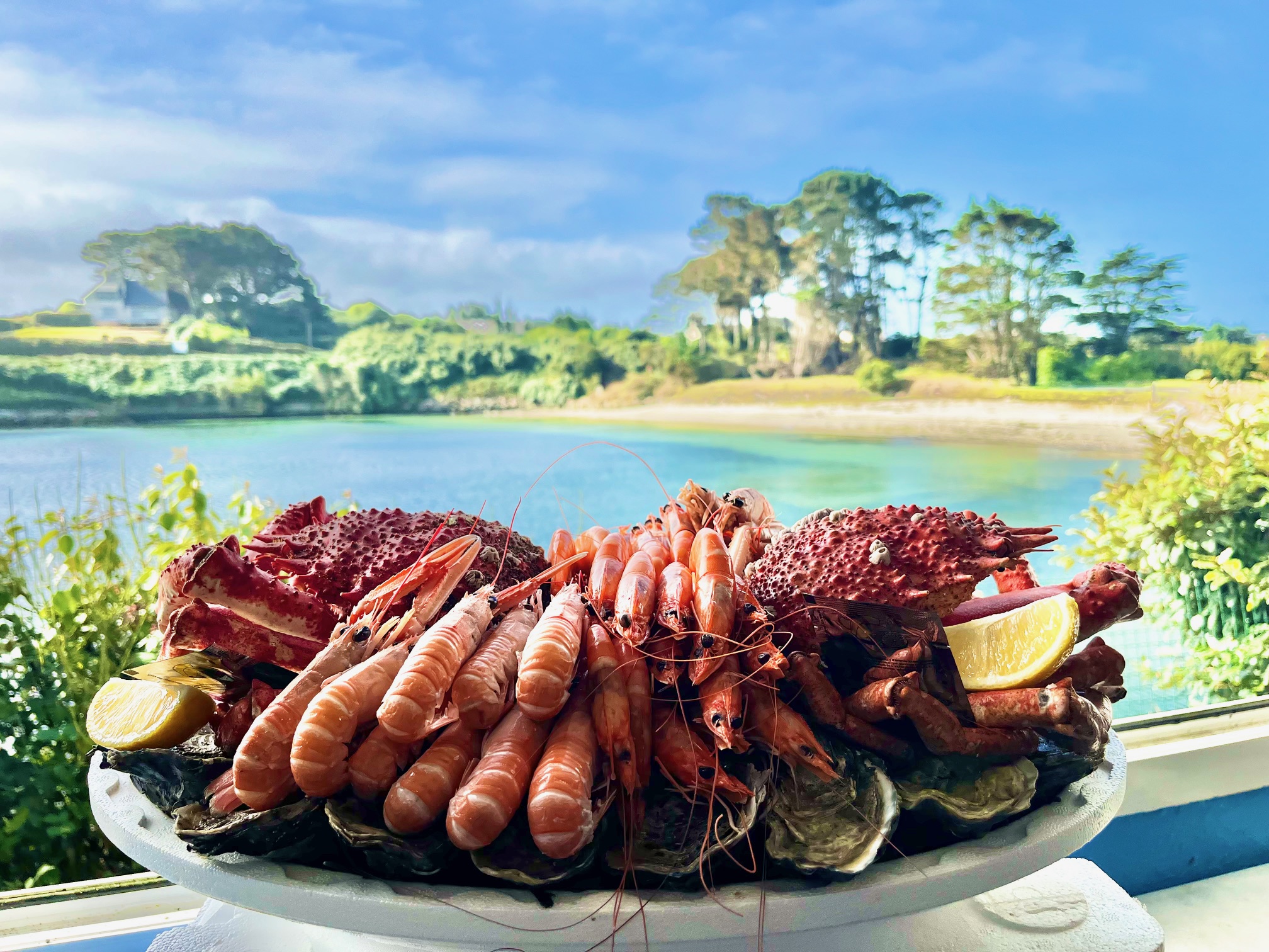 Pour profiter des produits de la mer sans aller au restaurant, les Viviers de Bassinic constituent une alternative particulièrement pratique. Installés à Plouguerneau, à proximité du secteur du Coréjou et de Saint-Michel, ils commercialisent des poissons frais, coquillages, crustacés et plateaux de fruits de mer.

L’entreprise travaille avec différents professionnels de la pêche et des caseyeurs, notamment pour les tourteaux et les araignées selon la saison. Elle est également associée au label des Ligneurs de l’Île Vierge pour le lieu jaune.

Les plateaux peuvent réunir, selon la formule et les arrivages, huîtres, langoustines, crevettes, crabes, bigorneaux et autres coquillages. Il est prudent de commander à l’avance, surtout pendant les vacances, les week-ends et les fêtes.

Cette option se prête particulièrement bien à un dîner dans la villa : vous profitez du plateau à votre rythme, sans reprendre la voiture après le repas.

À choisir pour : un plateau à emporter, du poisson frais ou un dîner convivial à la villa.